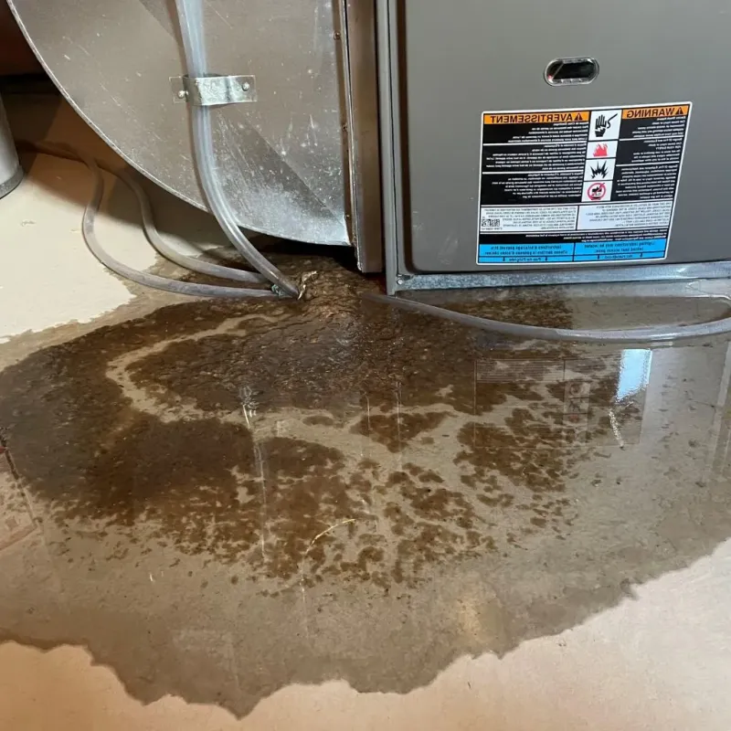 Pipe Burst and Leak Restoration in North Springfield, VA